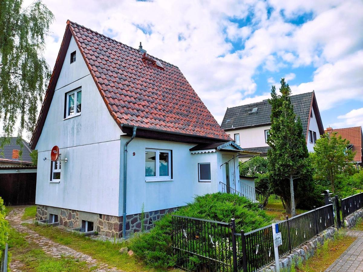 Ferienhaus Luise ノイシュトレーリッツ エクステリア 写真
